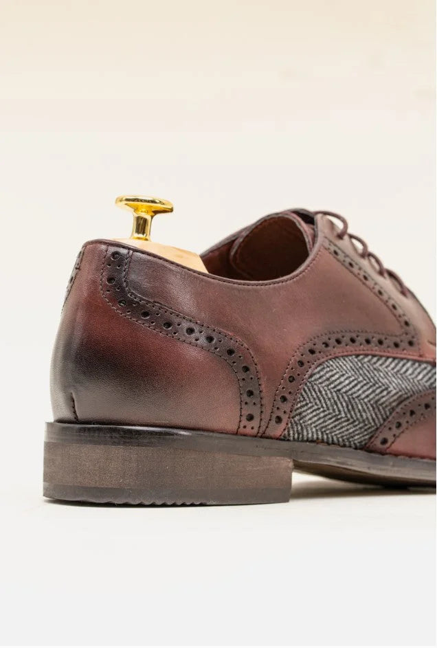 Cavani Faro Tweed Schuhe - Bordo - schoenen